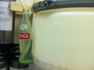 Fermenting beer: excess CO2 bubbles into the Coke bottle.