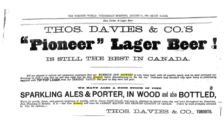 (advert from The Toronto World, Aug 31, 1881) 