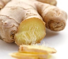 Ginger also appears in many 19th century beer recipes...